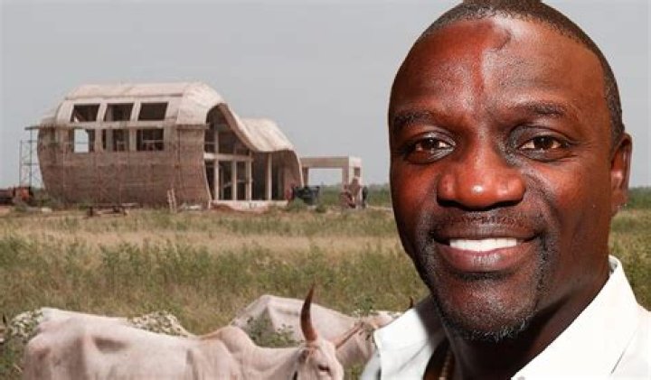 Unveiling The Truth: Akon's Life And Legacy
